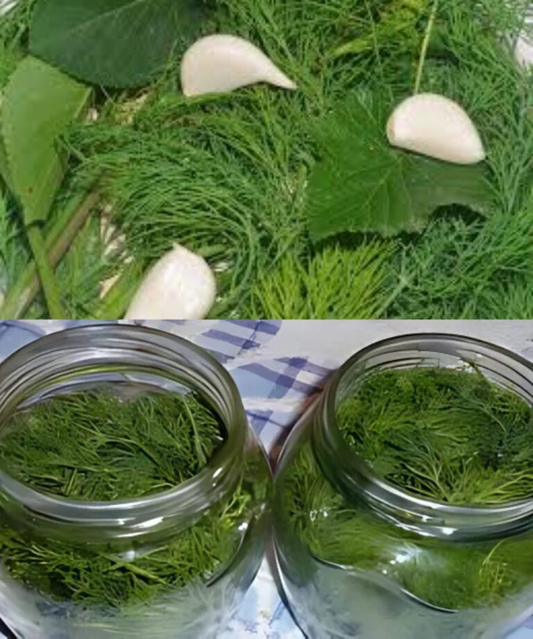 Con questo trucco l'aneto rimarrà fresco per diversi mesi. Non lo metto più in freezer, ma lo uso solo...