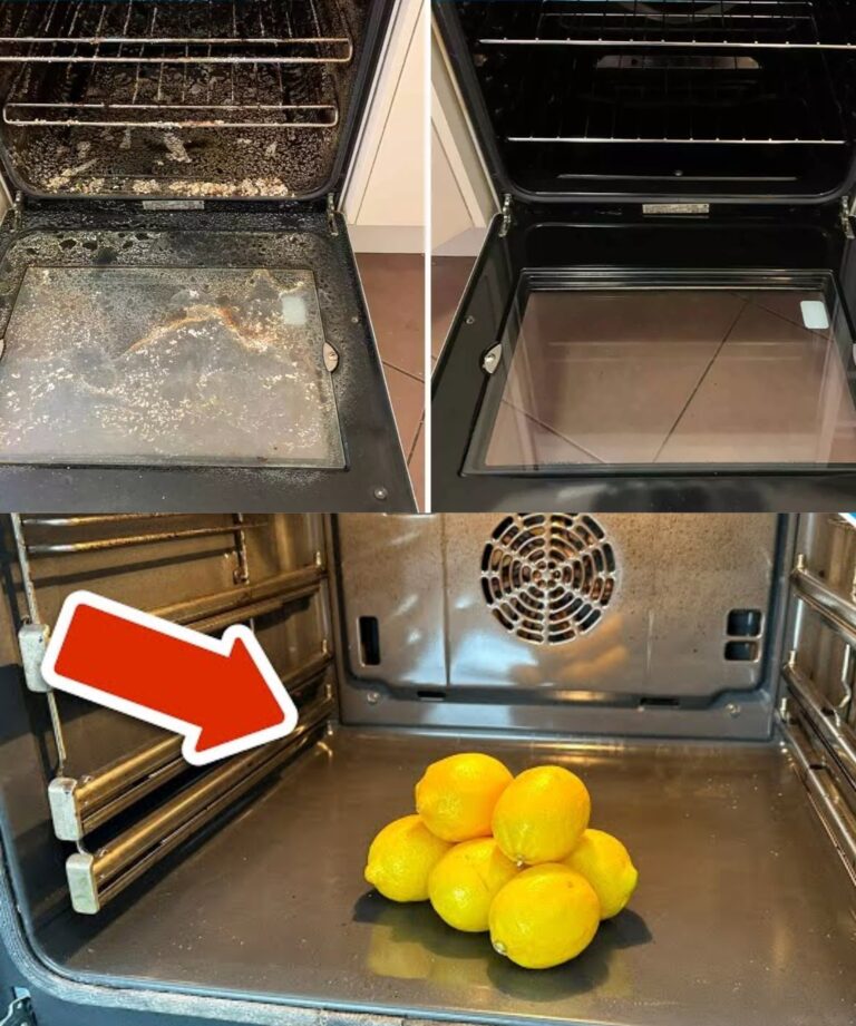 Non penso nemmeno più a lavare il mio forno sporco: un'amica mi ha mostrato questo trucco e ora è nuovo di zecca, senza sforzo!