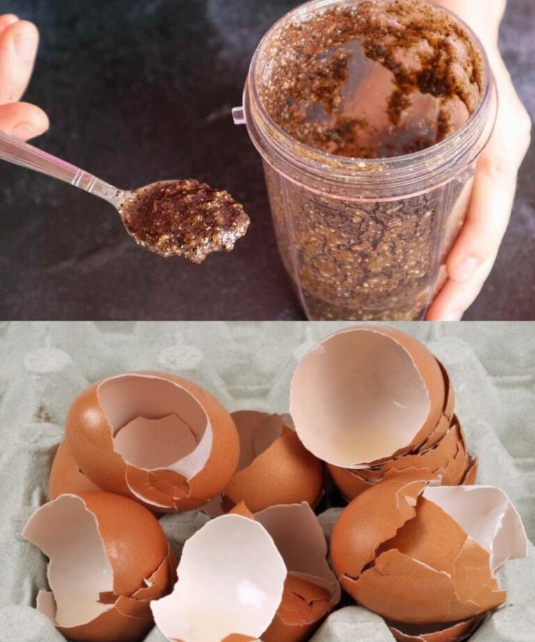 SMETTETE DI BUTTARLA VIA, GETTATELA NELLE PIANTE DI CASA O DEL GIARDINO: VE NE SARANNO GRATE