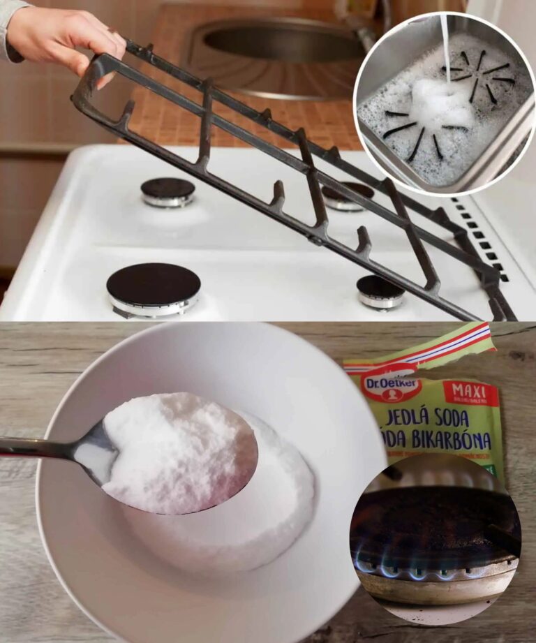 Un modo semplice per pulire la griglia di ghisa sul fornello: Il grasso si scioglie senza fatica!