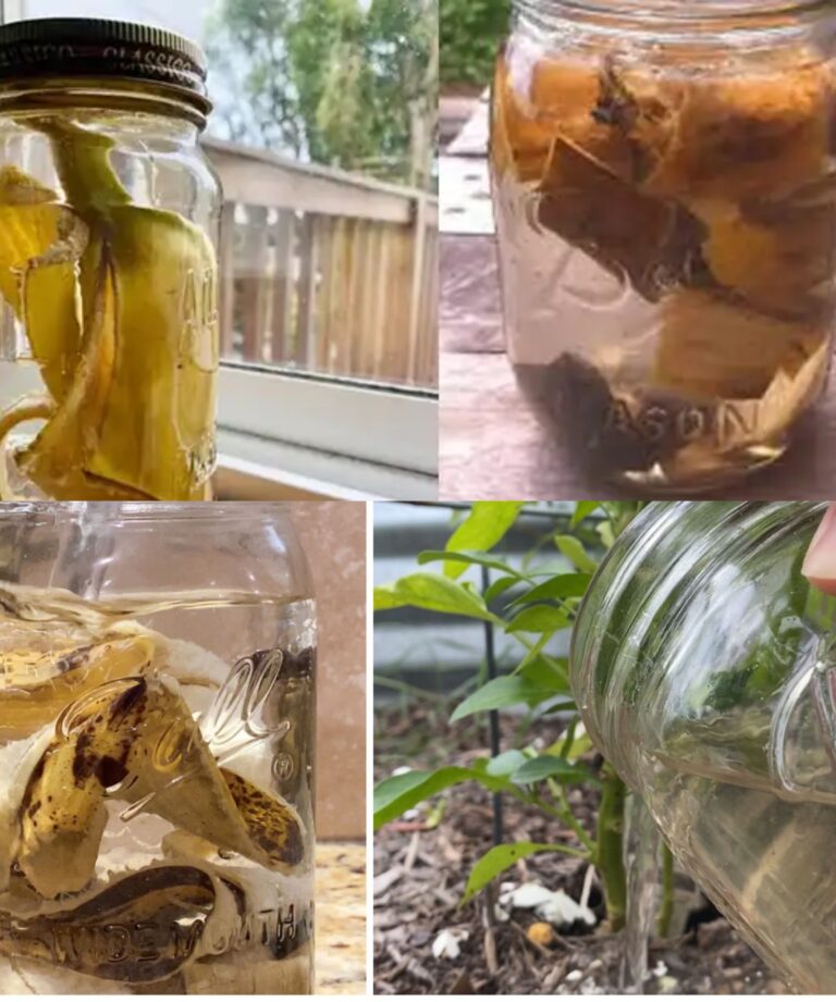 Tutti voi. Ho pensato che fosse una follia quando l'ho sentita