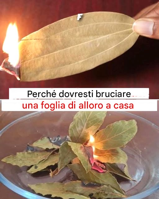 Perché dovresti bruciare una foglia di alloro in casa?