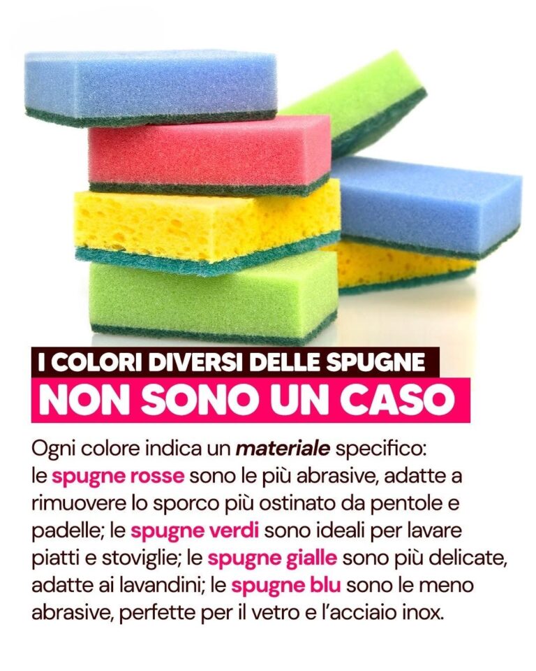 Perché le spugne hanno colori diversi e qual è il loro significato