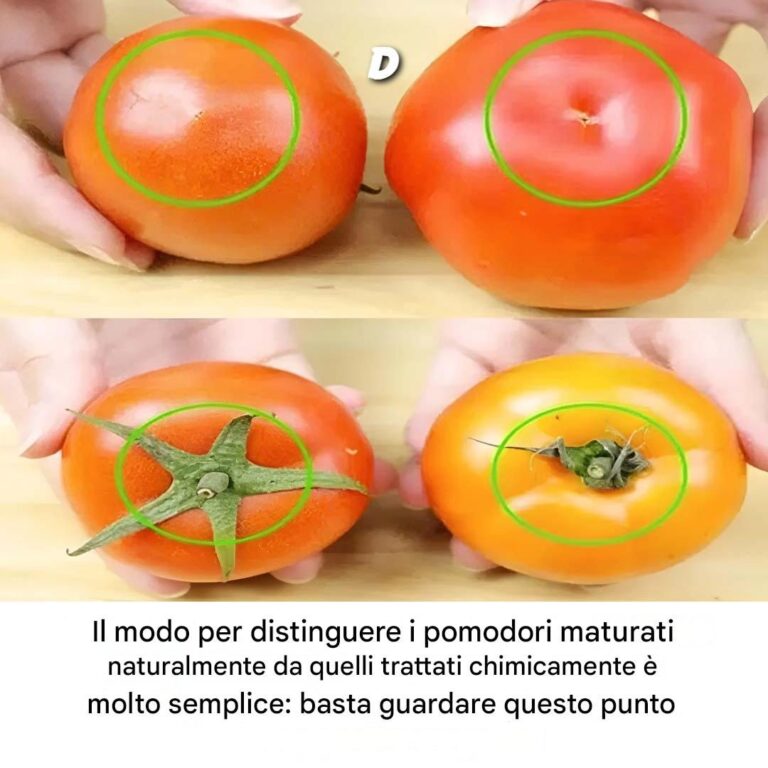 Come distinguere i pomodori maturi naturalmente