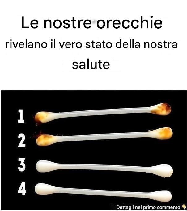 Le nostre orecchie rivelano il vero stato della nostra salute