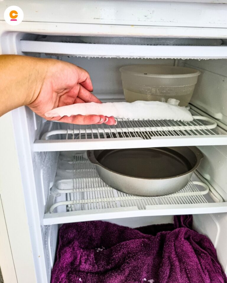 Come sbrinare frigo e freezer: consigli e trucchi per farlo in modo sicuro e veloce