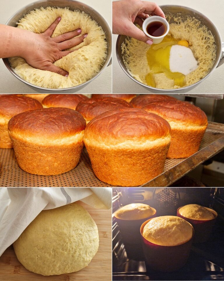 Schiacciata di Pasqua: la ricetta del lievitato dolce tipico di Pisa e di Livorno