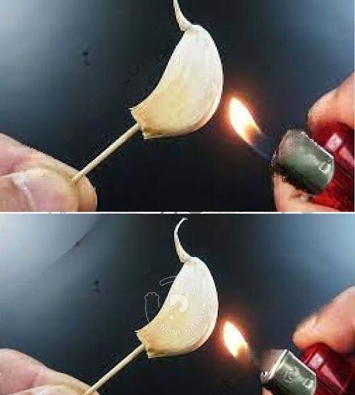 Spicchio d'aglio bruciato: cosa succede dopo 15 minuti in casa?