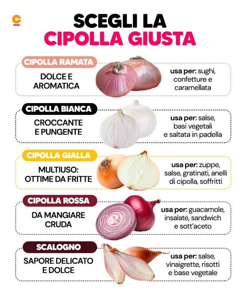 Le mille cipolle italiane: le varietà principali e come usarle al meglio in cucina