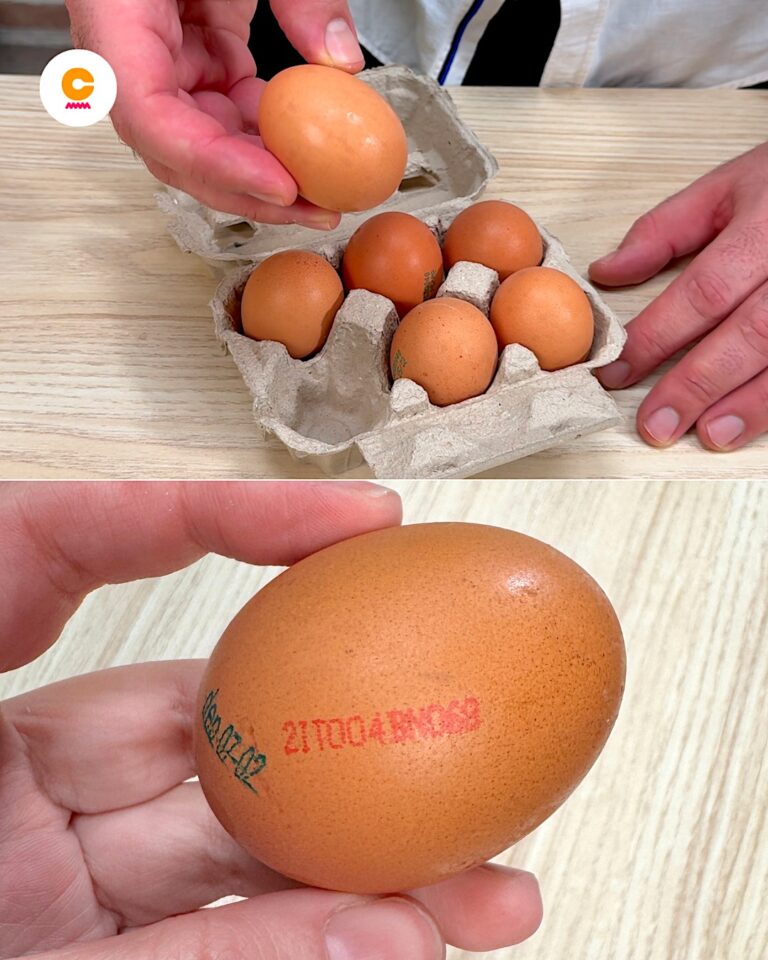 Come leggere le etichette delle uova: la guida completa