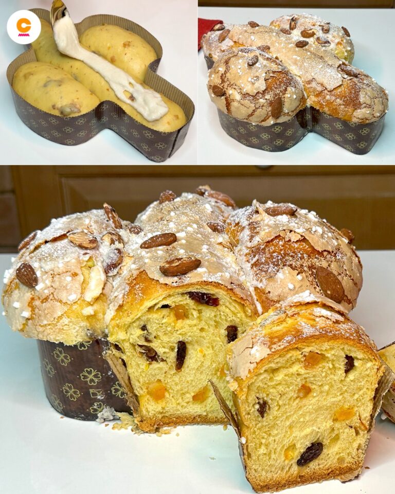 Colomba