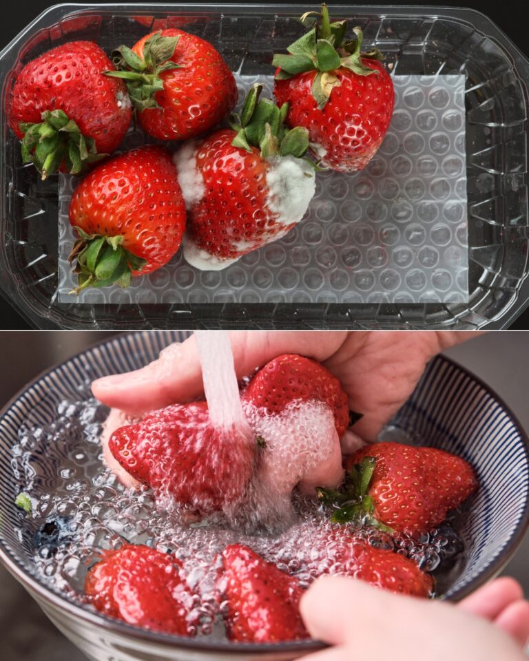 Come conservare le fragole fresche al meglio: 5 metodi e tutti i consigli utili