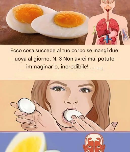 Ecco cosa succede al corpo quando mangi due uova al giorno
