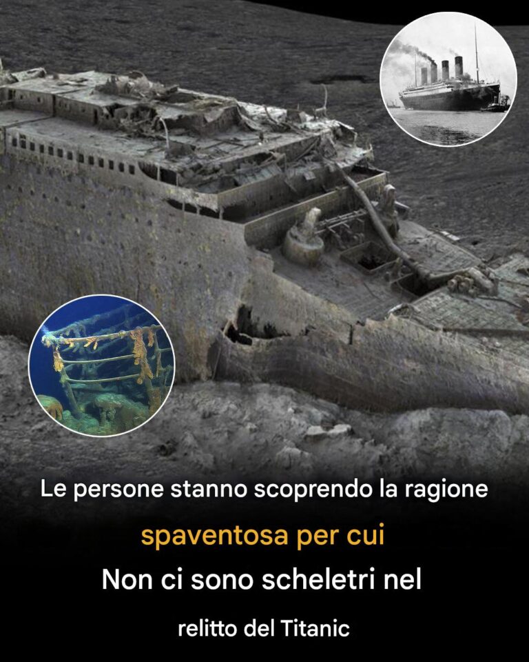 La misteriosa assenza di corpi nel relitto del Titanic