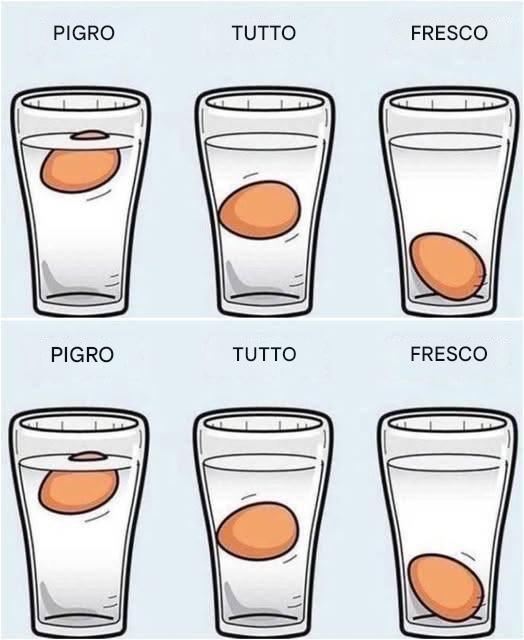Se comprate le uova al supermercato o le trovate in frigorifero con una data di produzione illeggibile, è importante controllarne la freschezza prima di consumarle. A differenza di altri alimenti, le uova possono causare problemi. In questo articolo parleremo di un metodo che ti aiuterà a stabilire se un uovo di gallina è fresco.