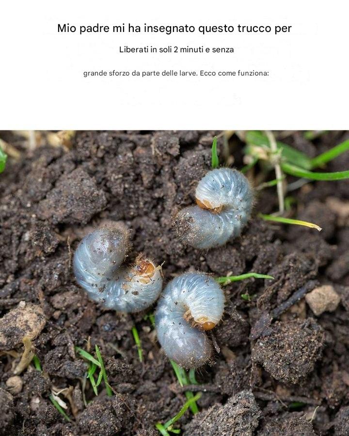 Luminoso! Avrei voluto leggerlo prima!