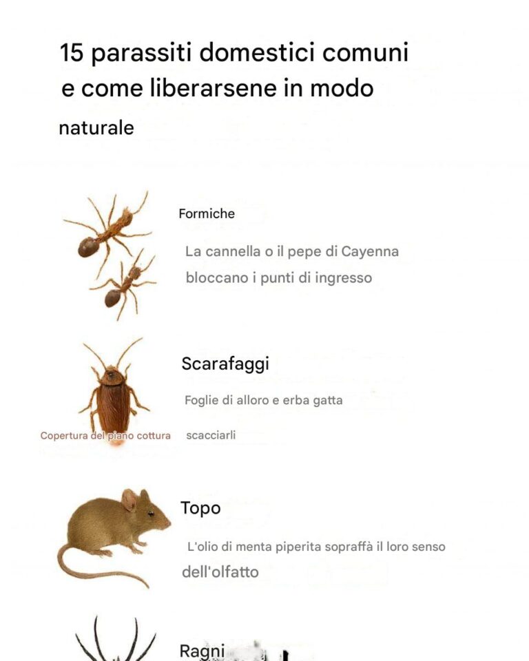 15 parassiti domestici comuni e come liberarsene in modo naturale