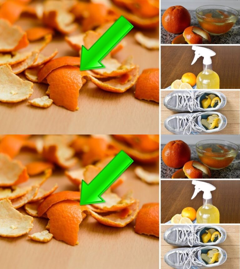 Metti le bucce d'arancia in una bottiglia d'acqua: puoi farci qualsiasi cosa | Alla fine del mese risparmi un sacco di soldi!