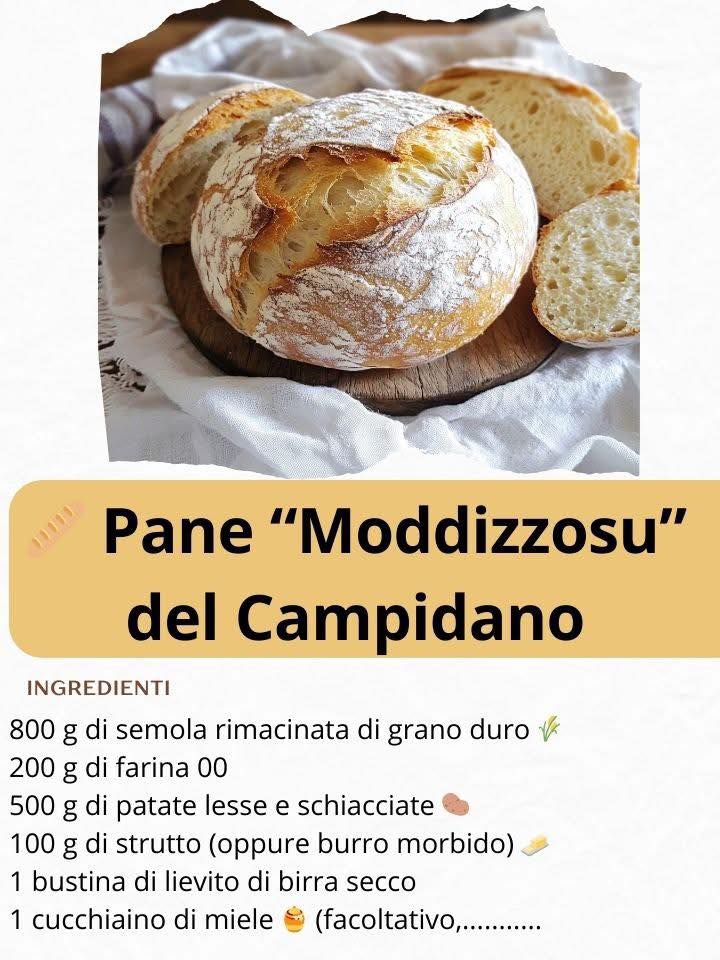 🥖 Pane “Moddizzosu” del Campidano