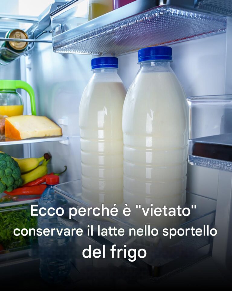 Ecco perché non dovresti più conservare il latte nella porta del frigorifero