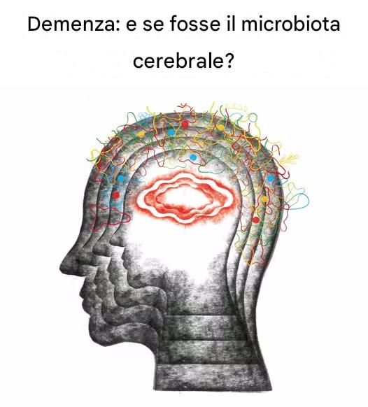 Demenza: e se fosse il microbiota cerebrale?