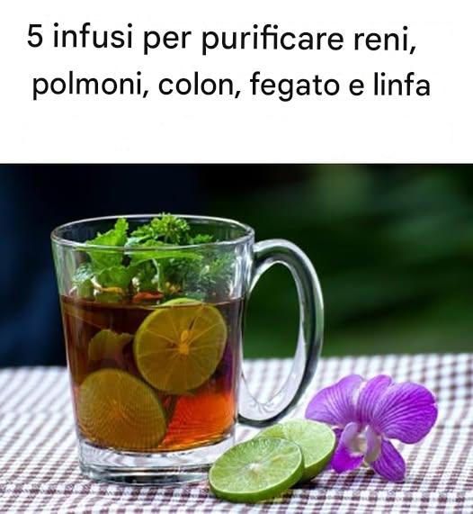 5 infusi per purificare reni, polmoni, colon, fegato e linfa