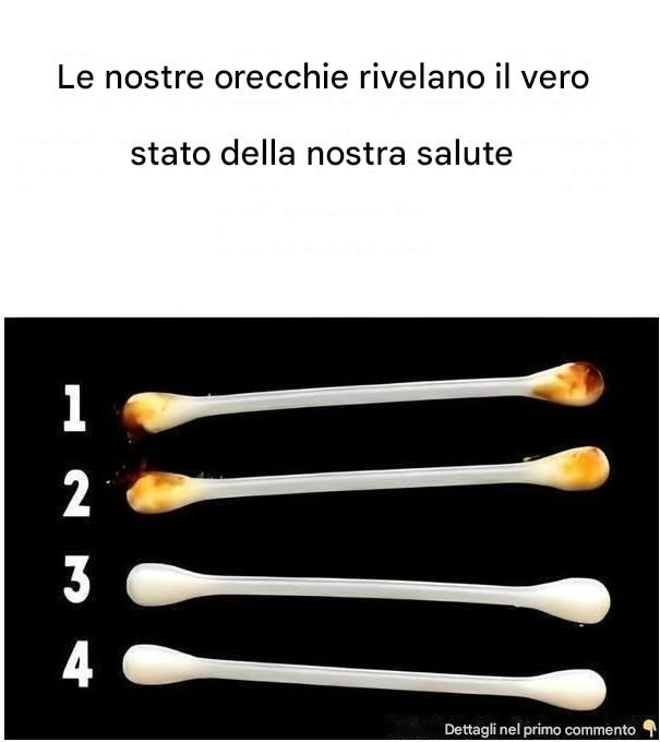 Le nostre orecchie rivelano il vero stato della nostra salute