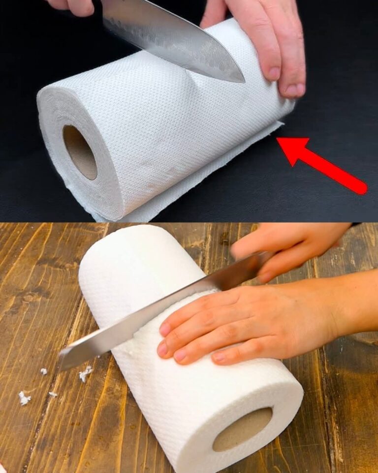 Taglia il rotolo di carta assorbente da cucina: risparmia una montagna di soldi con questo geniale trucco