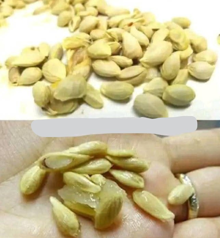 Quando spremete i limoni, non commettete l'errore di buttare via i semi: valgono il loro peso in oro se usati in questo modo