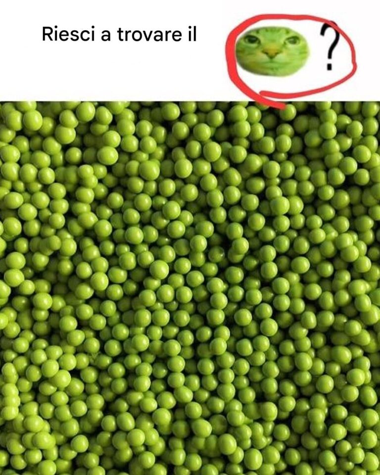 Illusione ottica: ci credereste se vi dicessimo che c'è un gatto in questa immagine?