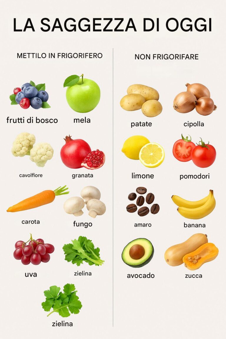 LA SAGGEZZA DI OGGI: Cosa tenere in frigo e cosa no?
