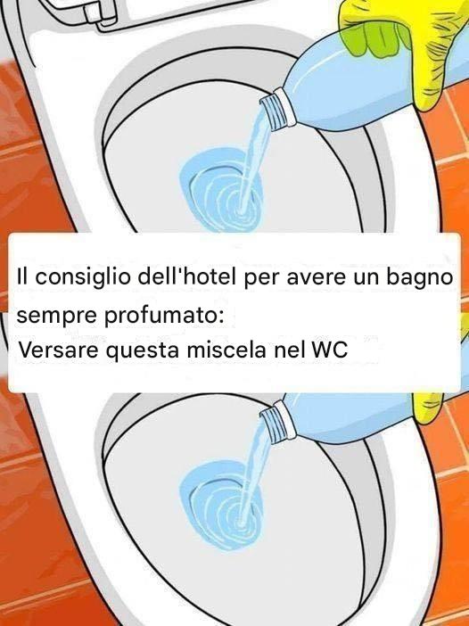WC fresco e immacolato per una settimana, anche le domestiche lo usano