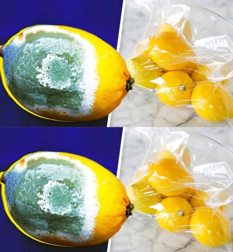 Come conservare i limoni più a lungo per evitare che si rovinino? 4 semplici trucchi
