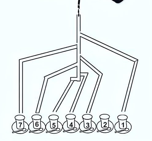 Metti alla prova il tuo QI: quale bicchiere si riempirà per primo?