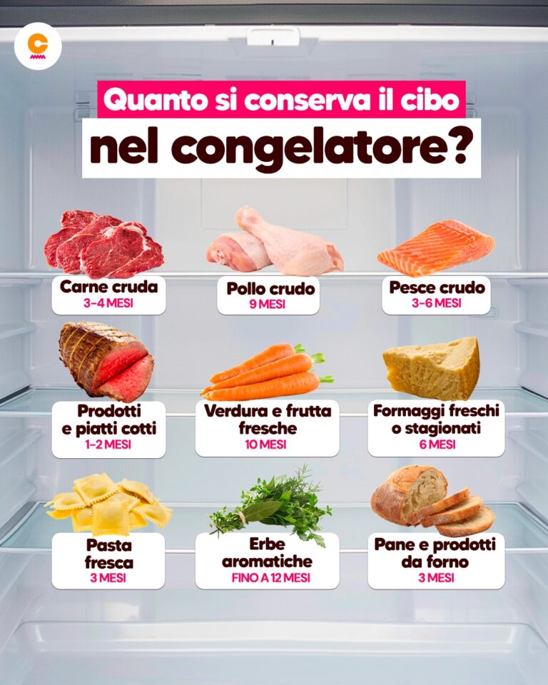Quanto dura il cibo in freezer: tempi di congelamento e consigli