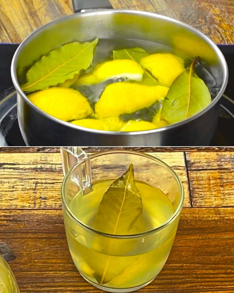 Come usare l’alloro in cucina e non solo: dagli oli aromatizzati ai rimedi per le tarme