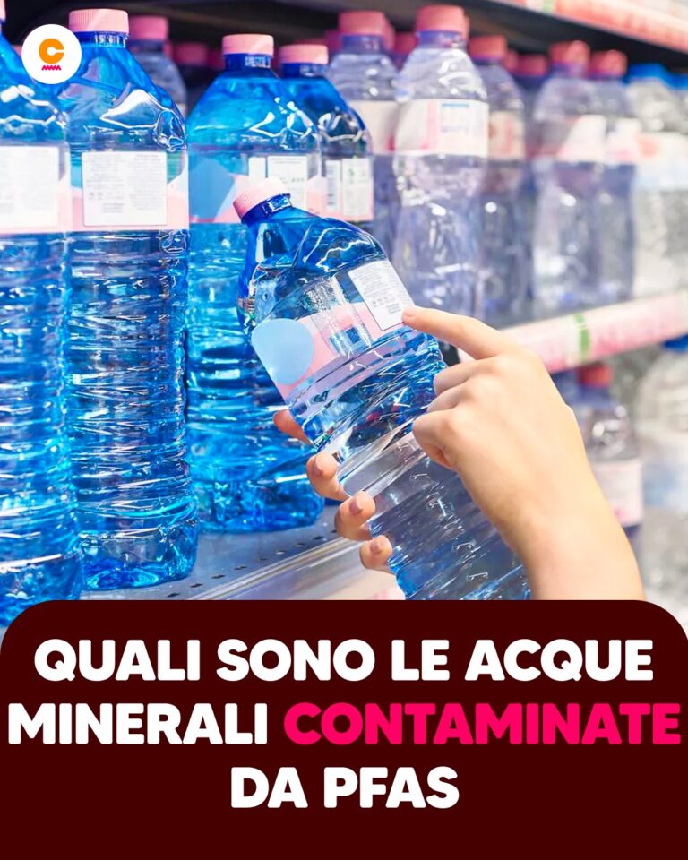 ACQUA CONTAMINATA AL SUPERMERCATO 💧  Spesso crediamo sia l'acqua migliore e non è così, perché penalizzate dall'eccesso di presenza di TFA(famiglia PFAS). Ecco quali marchi sono da evitare secondo Altroconsumo 👇