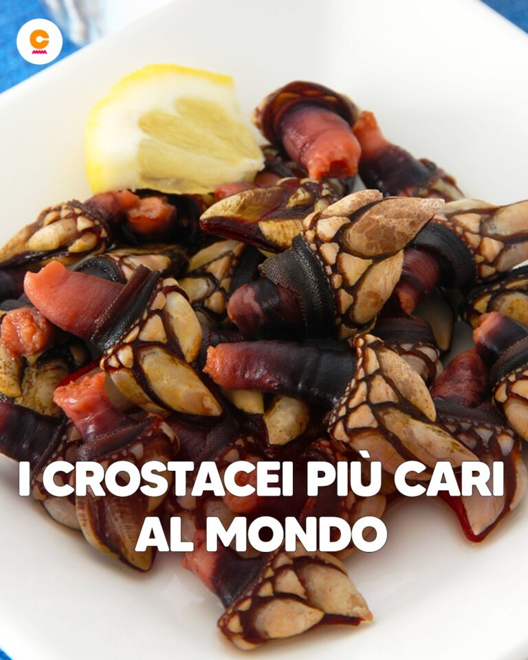 Brutti, “pericolosi” e cari, ma anche molto buoni: cosa sono i percebes