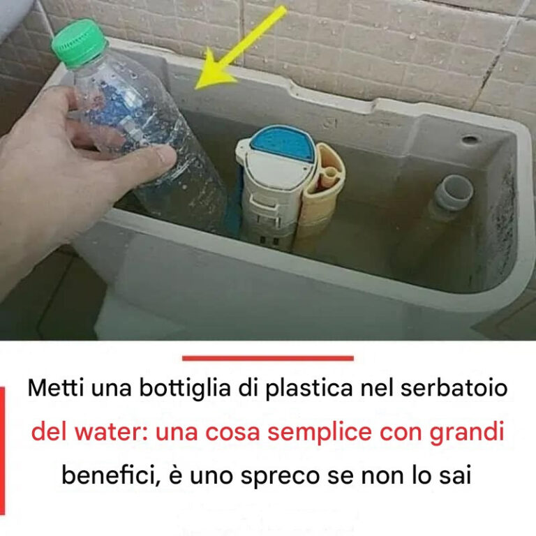 Utilizzare una Bottiglia di Plastica nella Cassetta del Water: Vantaggi e Suggerimenti