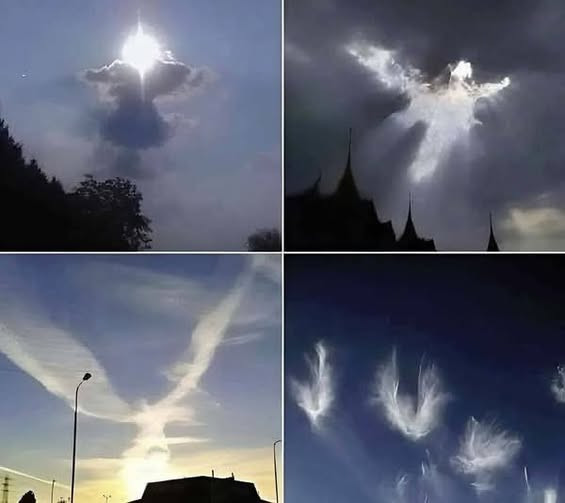 Queste foto le ha scattate mio fratello. All’inizio non ho notato nulla, ma quando ho guardato più attentamente, ho visto qualcosa che mi ha davvero sorpreso.