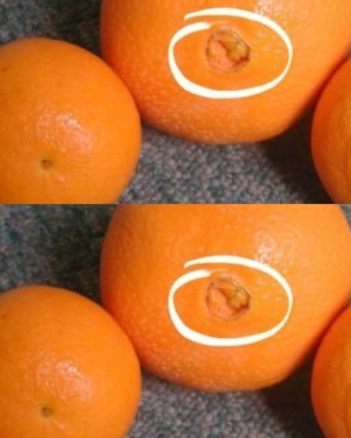 Ora scelgo le arance con cura. E perché non lo sapevo prima!