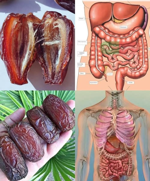 Gli incredibili benefici per la salute del miele e delle noci