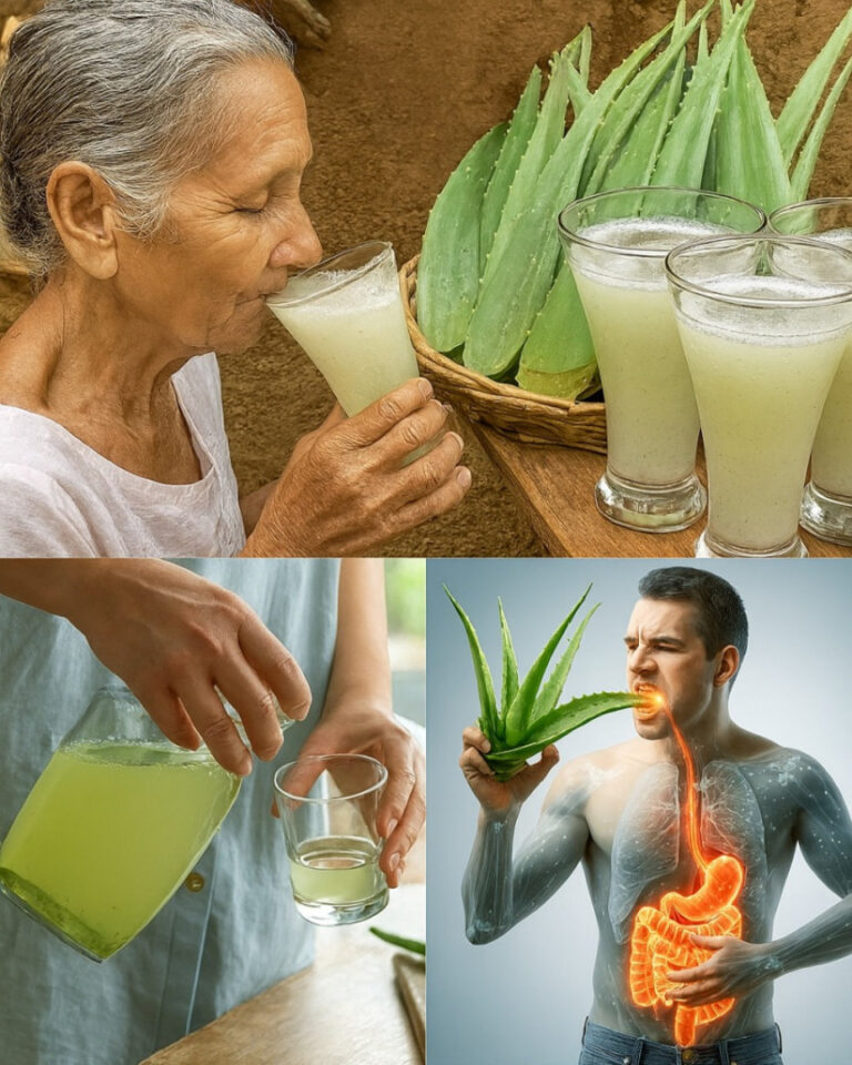 11 motivi per bere acqua di aloe vera ogni giorno + come prepararla