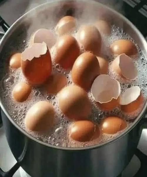 No las tires más: Cómo usar las cáscaras de huevo para tu salud y tus plantas