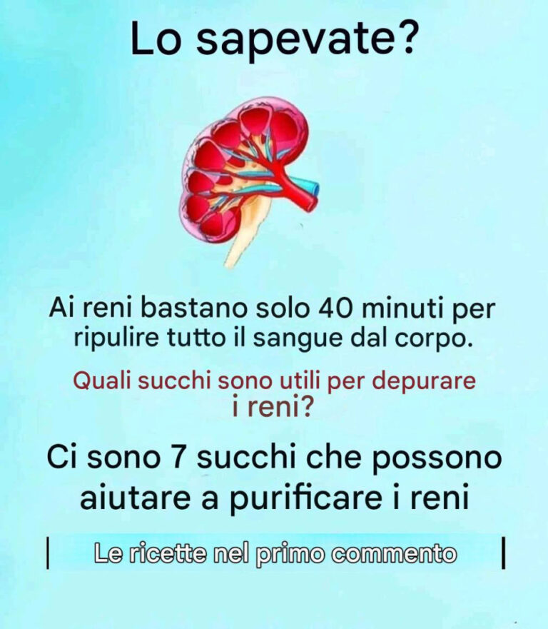 Rimedi naturali che ti aiuteranno a mantenere una buona salute renale
