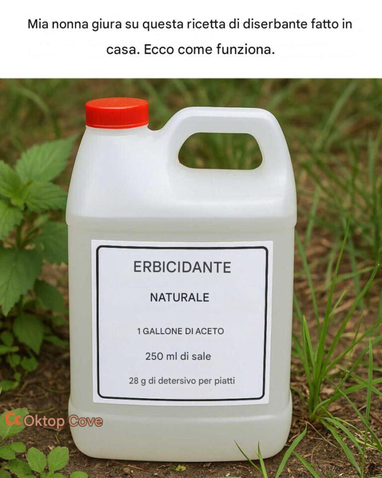 Mia nonna giura su questa ricetta di diserbante fatto in casa. Ecco come funziona.