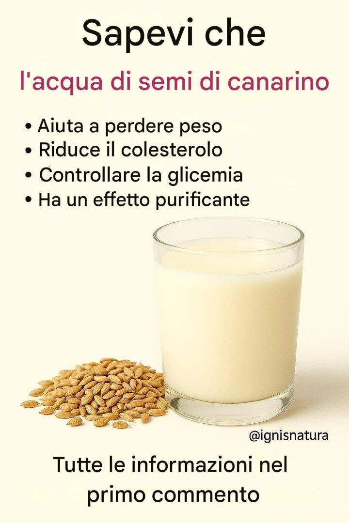 Scopri il potere trasformativo del frullato di semi di scagliola: il tuo alleato completo per la salute e il benessere