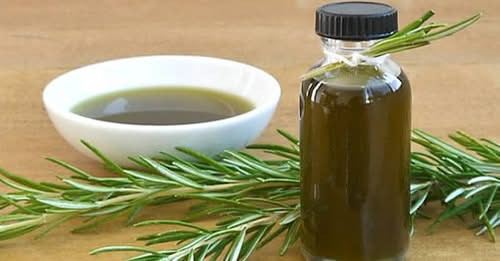 Come fare l’olio di rosmarino, e come usarlo per curare il corpo