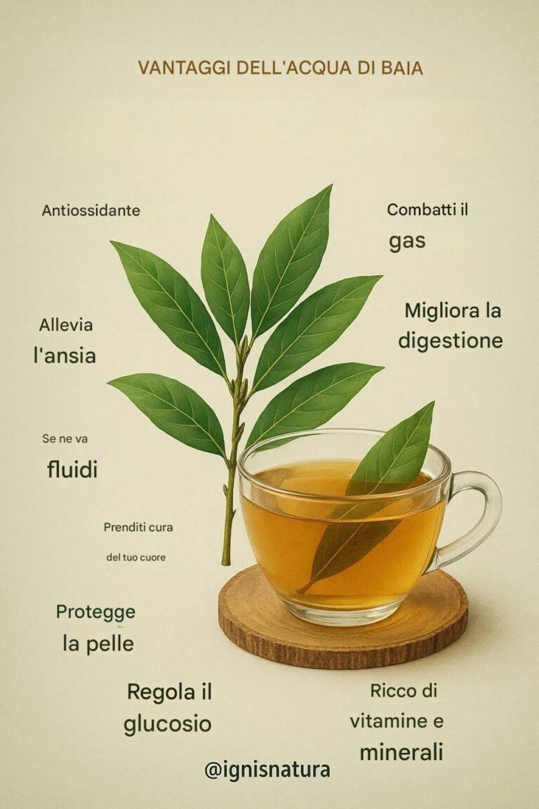 Acqua di alloro: un detergente naturale per il tuo corpo dall'interno all'esterno