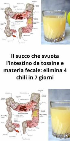 Il succo che svuota l’intestino da tossine e materia fecale: elimina 4 chili in 7 giorni – Casa Trucchi